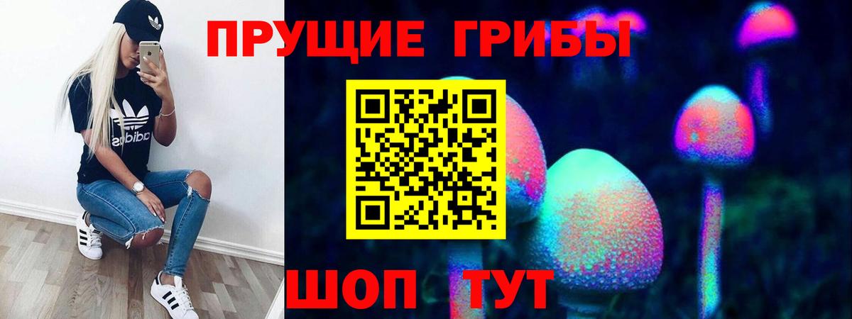 купить наркоту  Вход с VPN  Псилоцибиновые грибы Cubensis  Ртищево  Псилоцибиновые грибы Cubensis 